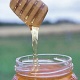 Μέλι: Ισχυρό όπλο εναντίον μολύνσεων και άλλων ασθενειών 