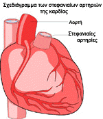 Σχεδιάγραμμα των στεφανιαίων αρτηριών της καρδίας.